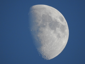 Moon - 11-20-2015
